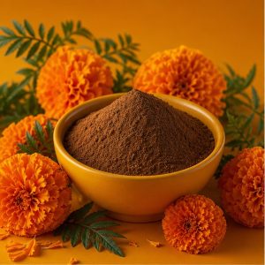 African Marigold Whole-Herb Extract Powder 4:1 hero image