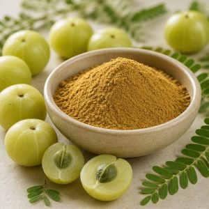 Amla Fruit Extract Powder 10:1 hero image