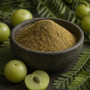 Amla Fruit Extract Powder 4:1 hero image