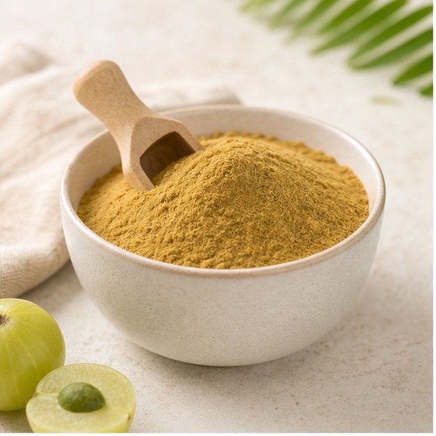 Amla Extract Powder 50% Vitamin C hero image