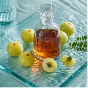 Amla Fruit Liquid Extract 5:1 hero image