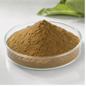 Artichoke Extract Powder 5% Cynarin hero image