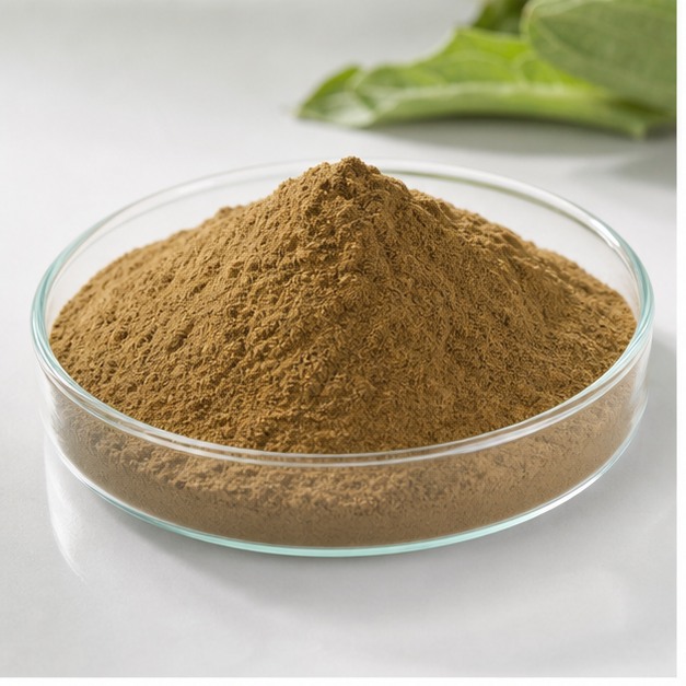Artichoke Extract Powder 5% Cynarin hero image
