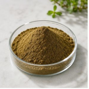 Bacopa Monnieri Extract Powder 50% Saponins hero image