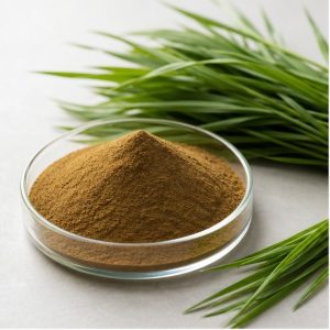Barley Herb Extract Powder 4:1 hero image
