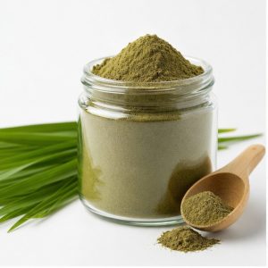 Barley Grass Juice Extract Powder 20:1 hero image