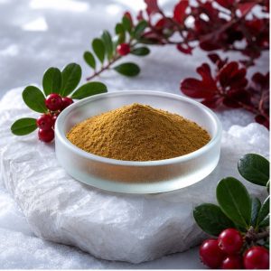 Bearberry Leaf Extract Powder 20% Ursolic Acid hero image