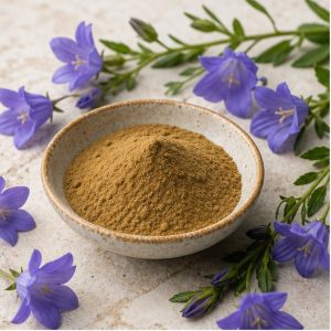 Bellflower Stem and Leaf Extract Powder 4:1 hero image
