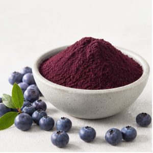 Bilberry Fruit Extract Powder 10:1 hero image