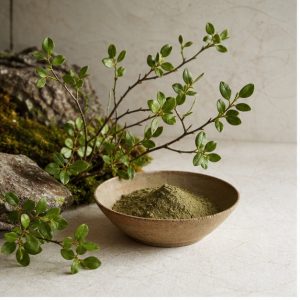 Bilberry Leaf Powder hero image