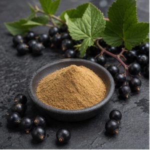 Black Currant Fruit Extract Powder 10:1 hero image