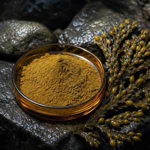 Bladderwrack Whole-Herb Extract Powder 10% Fucoxanthin hero image