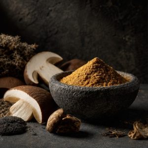 Boletus Fruiting-Body Extract Powder 4:1 hero image
