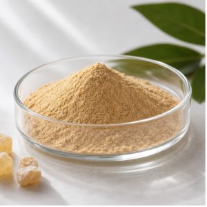 Boswellia Extract Powder 90% Boswellic Acid hero image