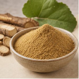 Burdock Root Extract Powder 20:1 hero image