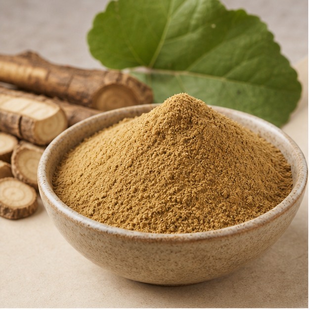 Burdock Root Extract Powder 20:1 hero image