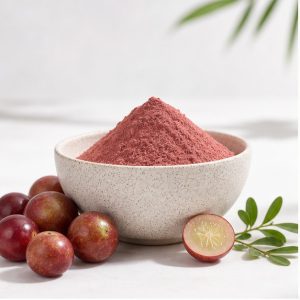 Camu Camu Fruit Extract Powder 4:1 hero image