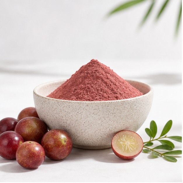 Camu Camu Fruit Extract Powder 4:1 hero image