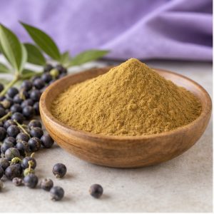 Chaste Tree Fruit Extract Powder 4:1 hero image
