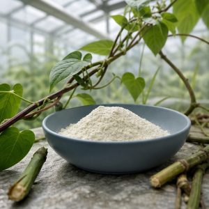 Chinese Yam Stem Extract Powder 12:1 hero image