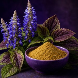 Coleus Forskohlii Flower Extract Powder 4:1 hero image