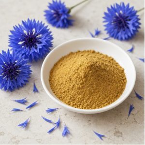 Cornflower Stamen Extract Powder 10:1 hero image