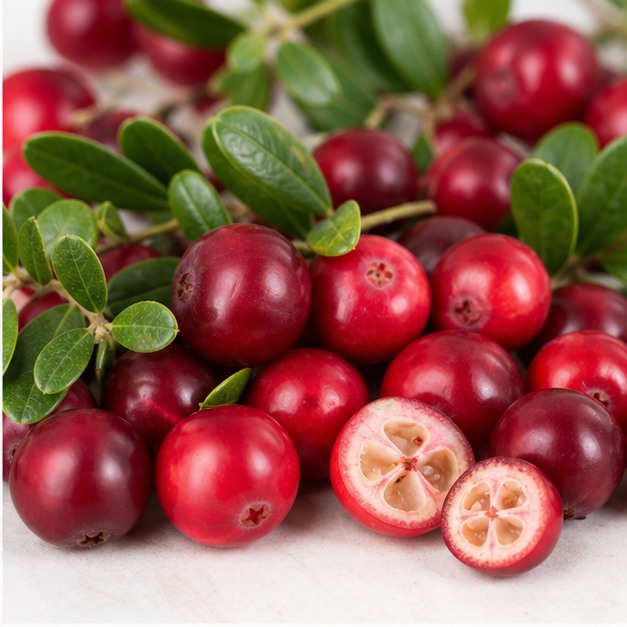 Cranberry Fruit Powder source image