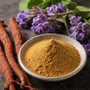 Danshen Root Extract Powder 5% Salvianolic Acid B hero image