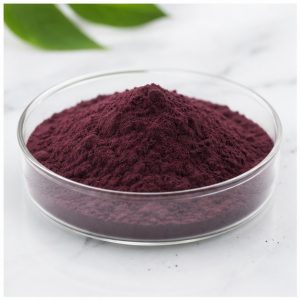 Elderberry Extract Powder 10:1 hero image