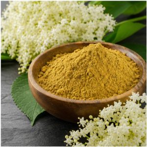Elderflower Extract Powder 10:1 hero image