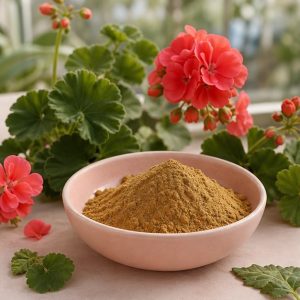 Garden Geranium Whole-Herb Extract Powder 4:1 hero image
