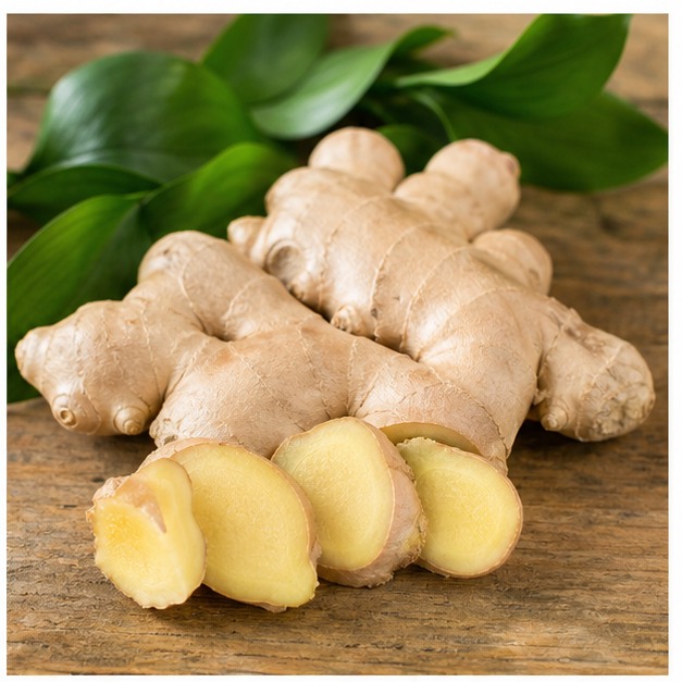Ginger Root Extract Powder 5% source image