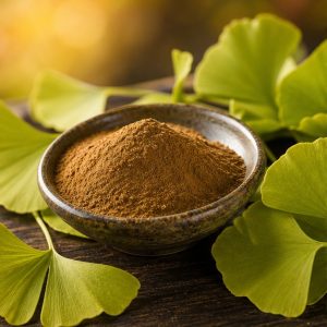 Ginkgo Biloba Leaf Extract Powder 4:1 hero image