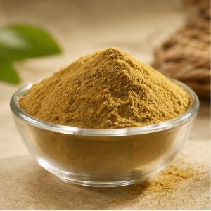 Ginseng Stem and Leaf Extract Powder 10:1 hero image