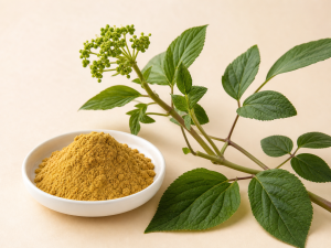 Ginseng Extract Powder 30% Ginsenosides
