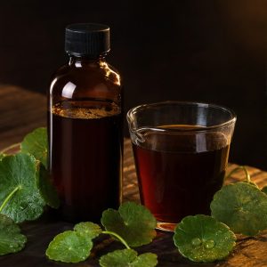 Gotu Kola Whole-Herb Liquid Extract 10:1 hero image