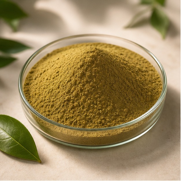 Green Tea Leaf Extract Powder 4:1 hero image