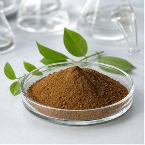 Gymnema Sylvestre Extract Powder 25% Gymnemic Acids hero image