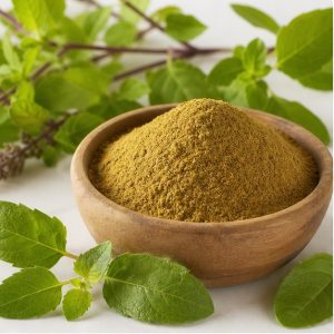 Holy Basil Leaf Extract Powder 2% Ursolic Acid hero image