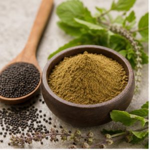 Holy Basil Seed Extract Powder 4:1 hero image
