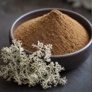 Iceland Moss Extract Powder 4:1 hero image