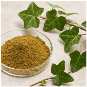 Ivy Stem and Leaf Extract Powder 6:1 hero image