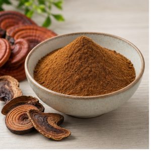 Ganoderma Lucidum Extract Powder 4:1 hero image