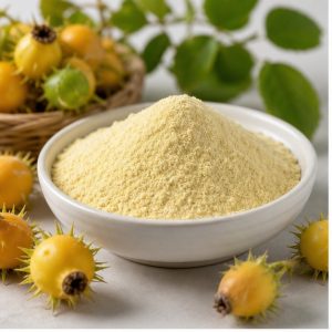 Rosa Roxburghii SOD Powder hero image