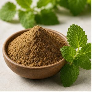 Lemon Balm Extract Powder 2.5% Rosmarinic Acid hero image