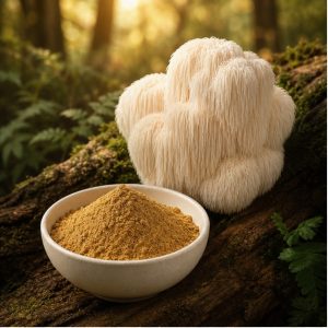 Lion's Mane Mushroom Extract Powder 10:1 hero image