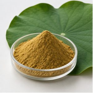 Lotus Leaf Extract Powder 2% Nuciferine hero image