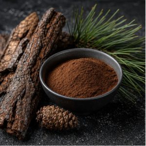 Maritime Pine Bark Extract Powder 4:1 hero image