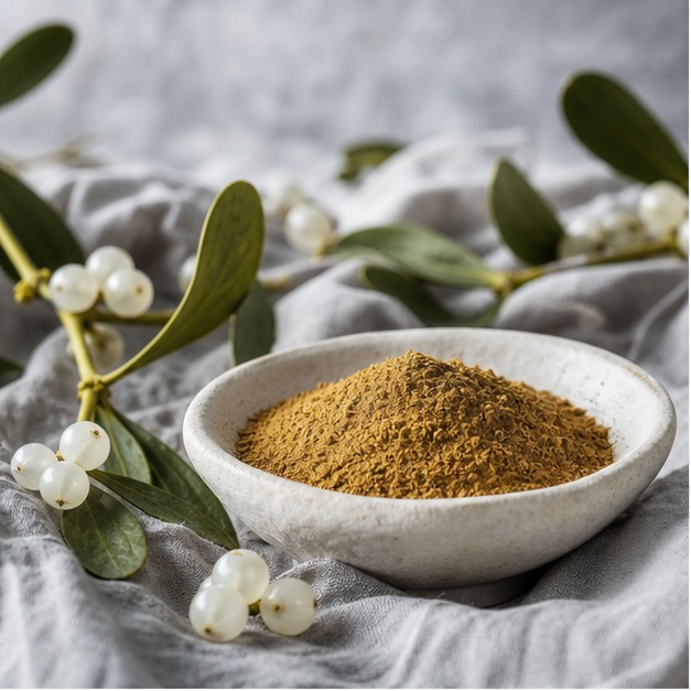 Mistletoe Leaf Extract Powder 4:1 hero image