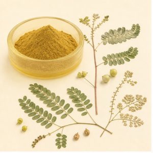 Phyllanthus Niruri Whole-Herb Extract Powder 4:1 hero image